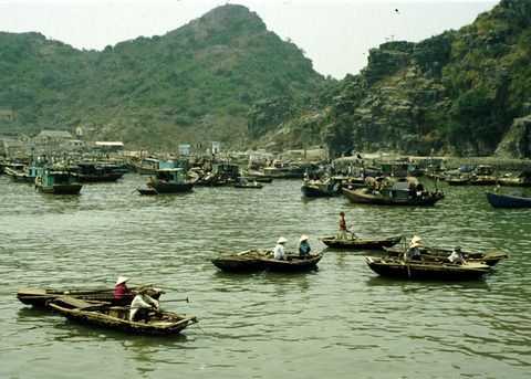 vietnam - cat ba island harbour 2.jpg